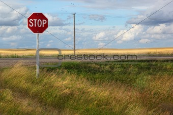Rural stop sign on the prairies 