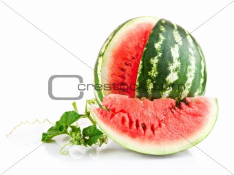 juicy watermelon in cut with green leaf