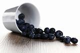 blueberries rolling from a fell over cup