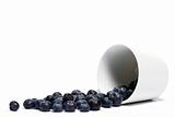 blueberries rolling from a fell over cup