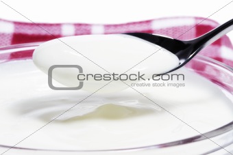 yogurt on a spoon over a yogurt dessert