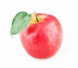 Single ripe apple with leaf