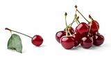 Ripe cherries group and single cherry with leaf