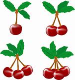 perfect sweet cherries with the leaf isolated on a white background