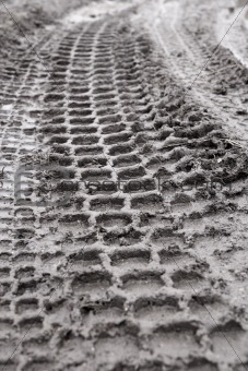 Tiire track in mud