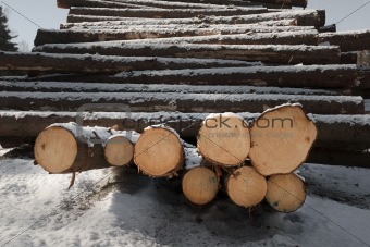 Stack of timber