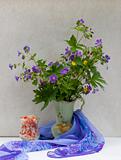 Still life with wild spring flowers