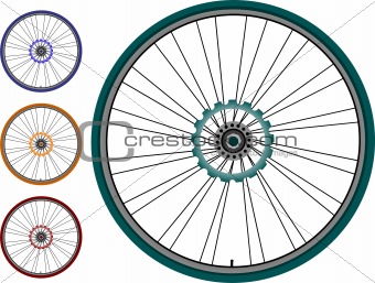 set Bike wheel - vector illustration isolated on white background