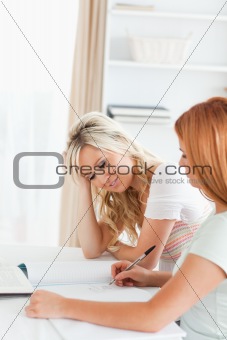 Charming Students sitting at a table doing their homework