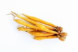 Chinese ginger or fingerroot