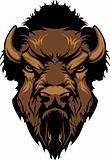 Buffalo Bison Mascot Head Graphic