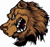 Bear Grizzly Mascot Head Vector Cartoon