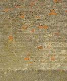 brick wall with yellow spurs and green discoloration