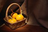 Pumpkins In The Basket