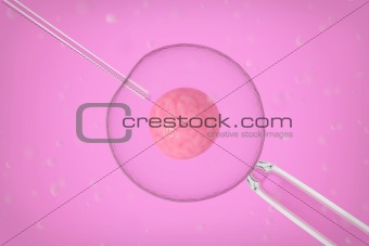 Artificial insemination close-up
