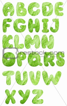 lettuce salad alphabet