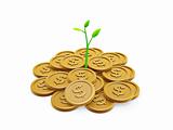Gold coins and seedling 