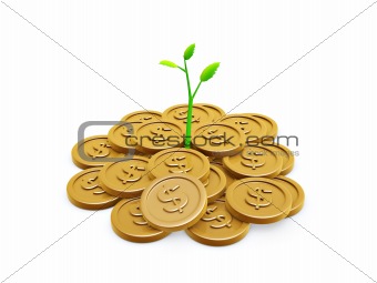 Gold coins and seedling 