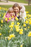 Mother And Daughter In Daffodils