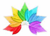 Colorful Rainbow Gradient with Group of Leafs