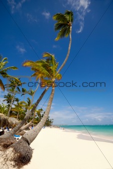 Exotic beach with white sand