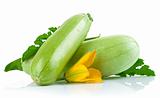 fresh marrow fruits with green leaves