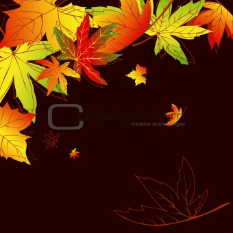 Abstract autumn leaves background