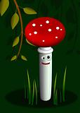  funny fly agaric