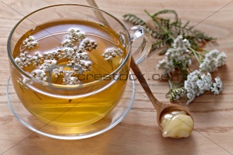 fresh herbal tea