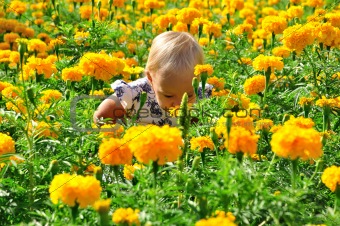 Little pretty child in flowers