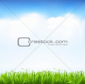 Grass And Sky