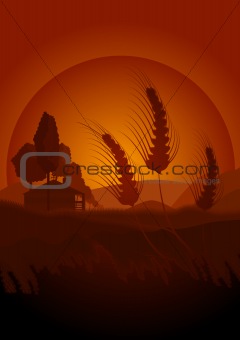 Bucolic scene of a hot afternoon in the fields of cereal. This illustration conveys peace and quiet of this scene. In the background you can see a house or farm.