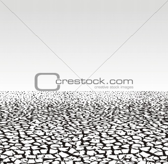 Cracked ground - dry season