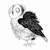 graphic owl