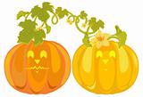 Vector pumpkins sweethearts