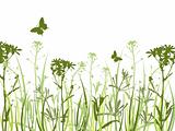 Green background with flowers and butterflies