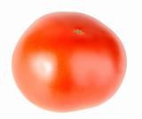 One ripe red tomato