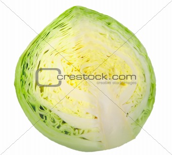 Cross of yellow-green cabbage
