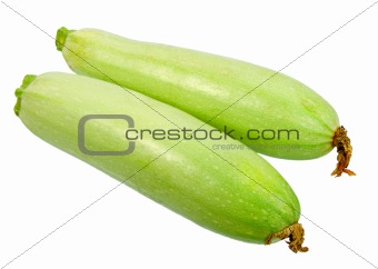 Two ripe green zucchini with dry flowers