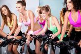 Attractive females on bicycles in a fitness club