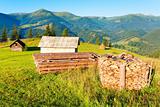 firewood stack on summer mountains