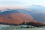 Autumn misty morning mountain hill