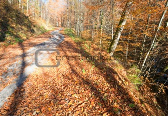 Autumn mountain dirty road