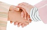 warm female business handshake