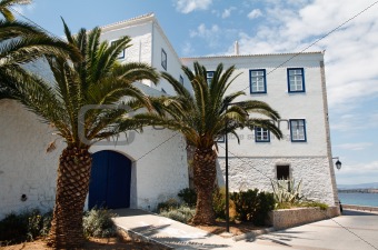 Greek house palms 