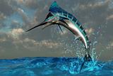 Blue Marlin Splash