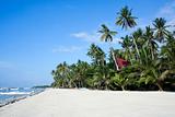 alona beach bohol island philippines
