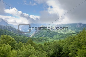 beautiful valley in Picos de Europa 