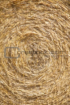 hay circle detail