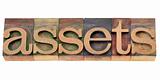 assets word in letterpress type